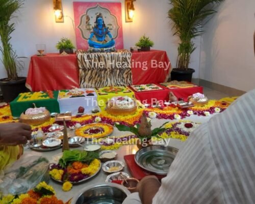 The Healing Bay: Mumbai’s Trusted Name in Rudraksha, Holistic Products, and Vedic Puja Services